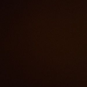 Meet your Posher, Bryan